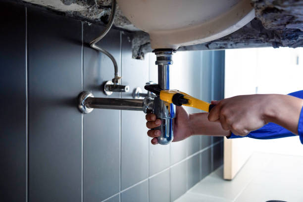 Best Commercial Plumbing Services  in Wells Branch, TX